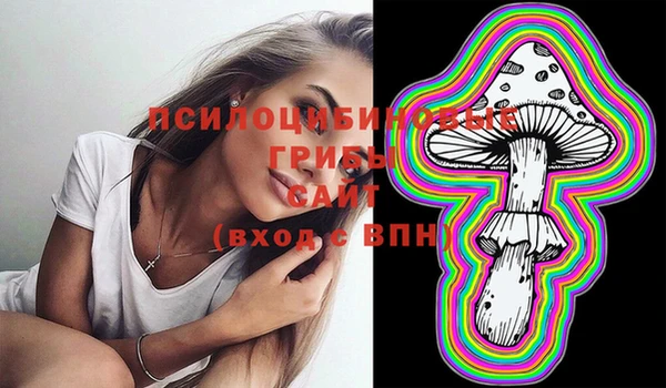 амфетамин Няндома
