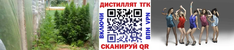 Дистиллят ТГК концентрат Заинск