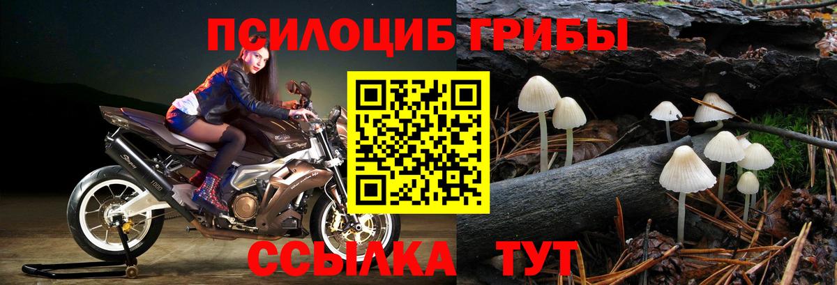 Галлюциногенные грибы прущие грибы  Заинск 