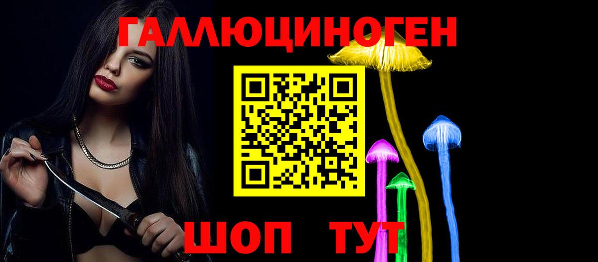Заинск  Псилоцибиновые грибы Psilocybine cubensis  где купить наркоту  Псилоцибиновые грибы прущие грибы  Вход с VPN 